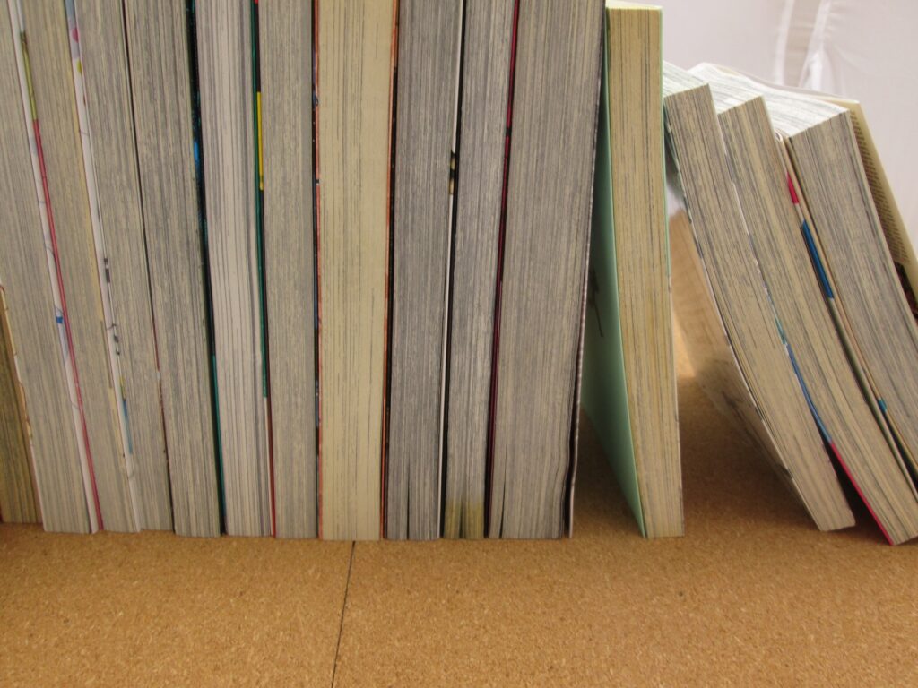 邪道ではない！漫画を使った受験勉強方法
