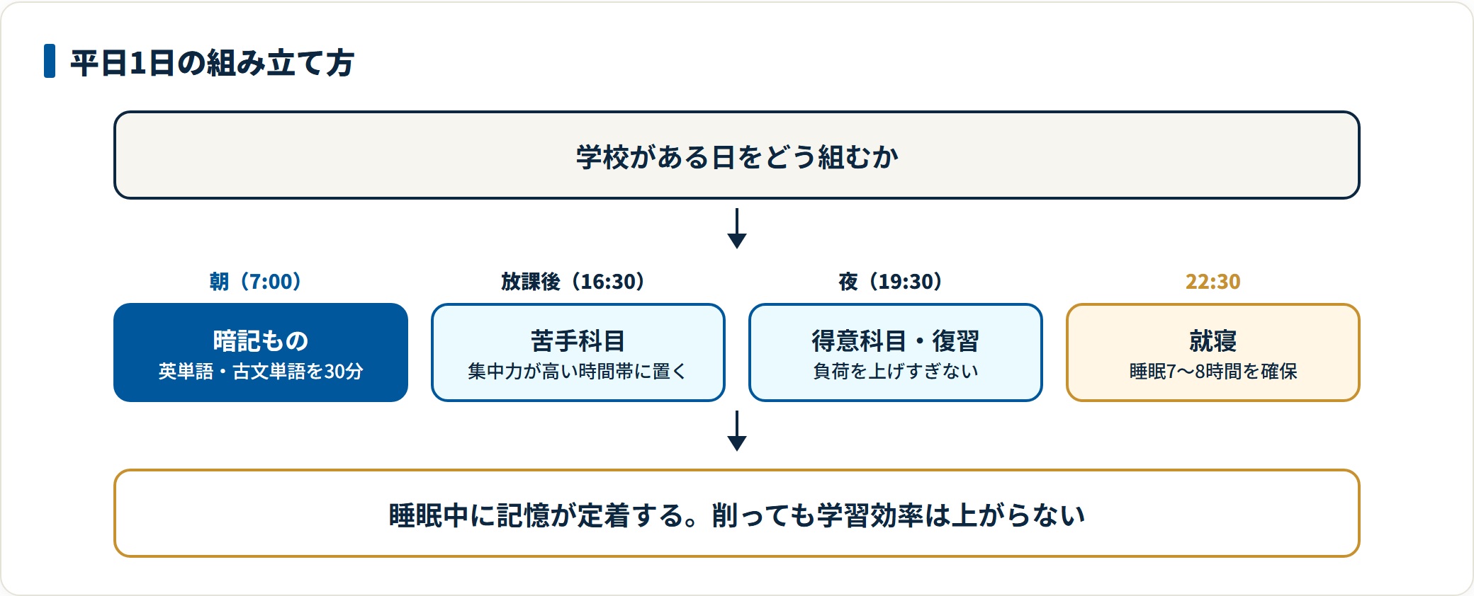 朝は暗記、放課後の集中できる時間帯に苦手科目、夜は得意科目と復習、22時半就寝で睡眠を確保するという平日の1日の組み立て方の図