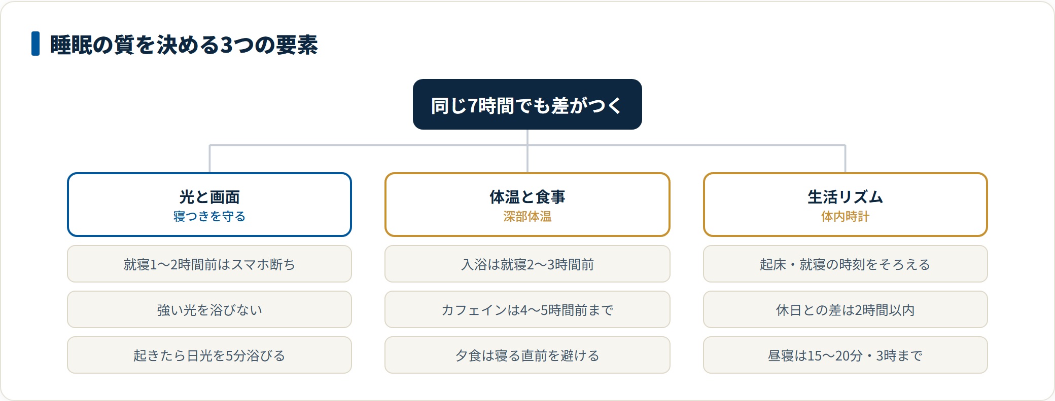 睡眠の質を高める習慣を光と画面、体温と食事、生活リズムの3系統に分類したツリー図。就寝前のスマホ断ちや入浴とカフェインの時刻、起床就寝時刻をそろえることや昼寝の長さまでを整理している。