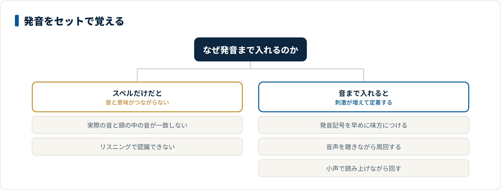 スペルだけで覚えると実際の音と一致せず聞き取れなくなるため、発音記号や音声を使い読み上げながら周回することが有効だと示した図